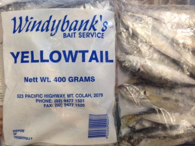 Frozen Bait Yellow Tail – Net And Tackle Sales